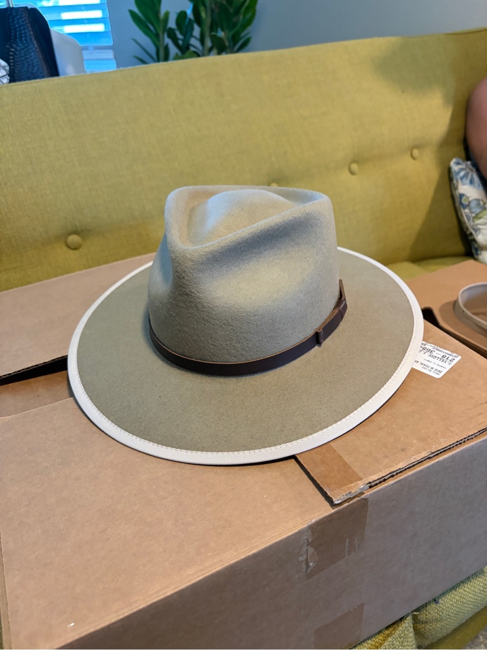 Yellow 108 Wide Brim Felt Fedora Hat in Putty with Brown Band - Dylan style
